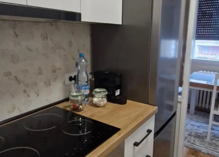 Viktor 贝尔格莱德